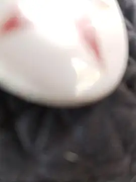 Snapshot of taaylor33 chatting on February 2026 08:20:01 PM taaylor33 online show from February 2026 08:20:01 PM