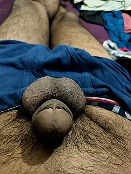 PAWARXX 0 online show from October 2025 06:20:01 PM