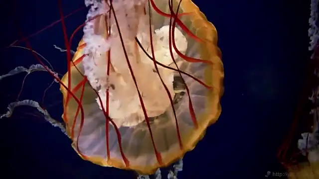 Snapshot of streamy_test12 chatting on November 2025 03:27:01 PM streamy test12 online show from November 2025 03:27:01 PM