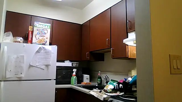 DreamvilleINC online show from November 2025 11:51:02 PM