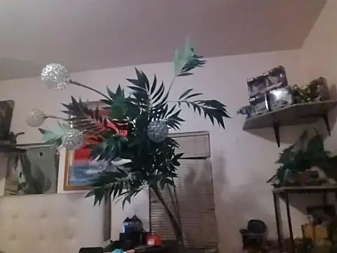 mrwinsalot88 online show from December 2025 07:26:02 AM