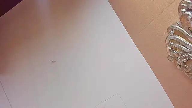 Celeste Baker  online show from March 2026 12:08:01 PM