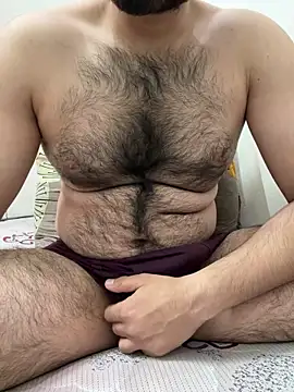 Samarth 0081 online show from January 2025 06:52:01 PM