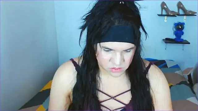 Geisha Seniers online show from February 2026 11:50:01 AM