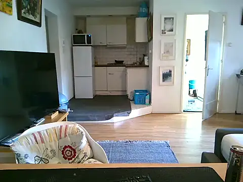 mihaimichael online show from April 2026 08:42:01 AM