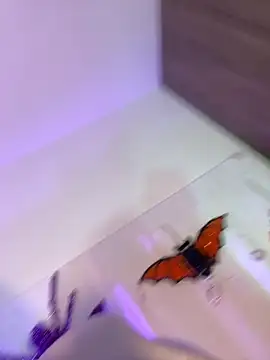 Snapshot of mikuru_hara chatting on October 2025 02:10:01 AM mikuru hara online show from October 2025 02:10:01 AM