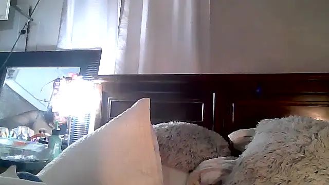 Snapshot of paiday chatting on December 2024 12:08:01 AM paiday online show from December 2024 12:08:01 AM