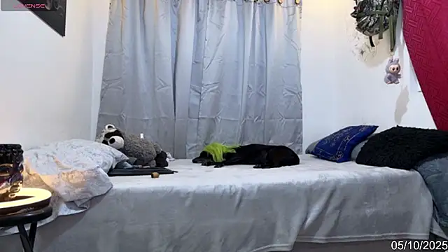 alejo cute online show from October 2025 08:28:01 PM