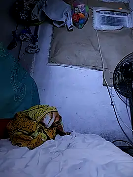 The-quee22 online show from October 2025 11:31:02 AM