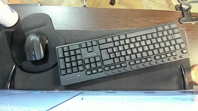 Amy Walker online show from February 2026 07:25:02 PM