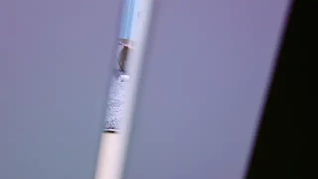 Snapshot of HaruruHappy chatting on January 2025 01:29:01 PM HaruruHappy online show from January 2025 01:29:01 PM