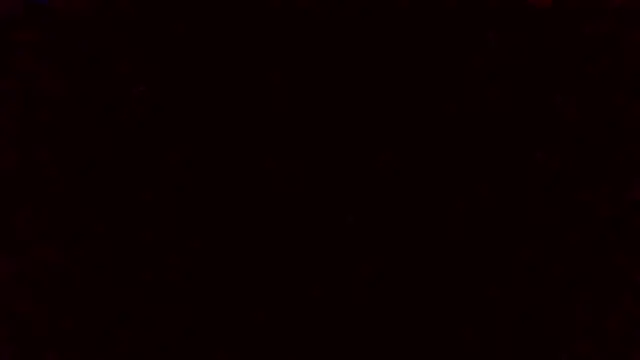 Tinny and Candy online show from January 2025 11:32:01 PM