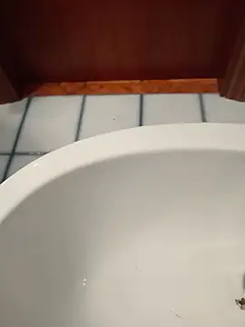 Durovoglioso2 online show from March 2026 07:14:02 AM