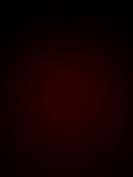 mendelicius online show from February 2025 11:19:02 AM