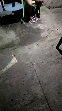 mendelicius online show from November 2025 01:05:01 AM