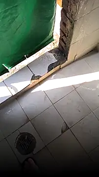 mendelicius online show from February 2026 02:25:01 PM