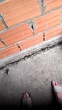 mendelicius online show from April 2026 11:14:02 AM