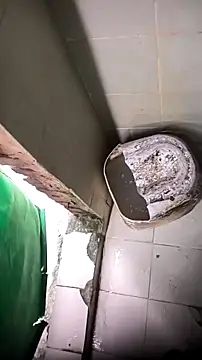 mendelicius online show from April 2026 12:43:01 PM