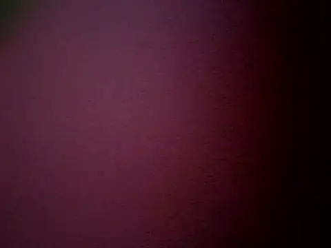 Snapshot of Bigloggz chatting on February 2026 06:39:02 AM Bigloggz online show from February 2026 06:39:02 AM