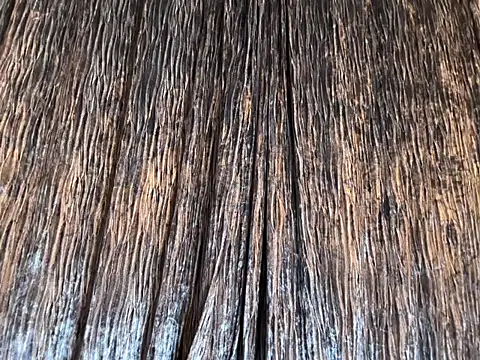 Snapshot of Mika_Miller chatting on October 2025 05:02:02 PM Mika Miller online show from October 2025 05:02:02 PM