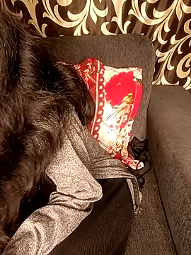 Snapshot of REVA_DARLING chatting on January 2025 08:54:01 AM REVA DARLING online show from January 2025 08:54:01 AM