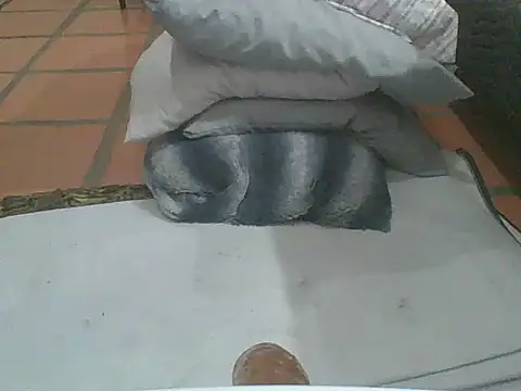 MrPatrick777 online show from February 2026 03:56:01 AM