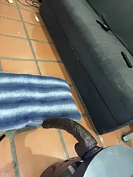 MrPatrick777 online show from April 2026 05:43:02 PM