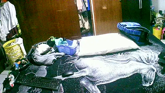 Snapshot of jperezofficial1 chatting on September 2025 09:42:02 AM jperezofficial1 online show from September 2025 09:42:02 AM