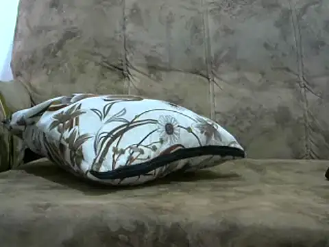 sexy-ann online show from March 2025 12:14:02 PM