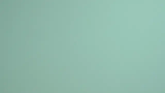 LessySmith online show from November 2025 04:05:01 PM