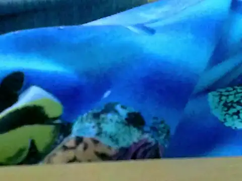 zhan7965 online show from December 2024 01:03:02 PM