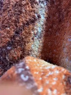 king cum  online show from November 2025 01:17:02 AM