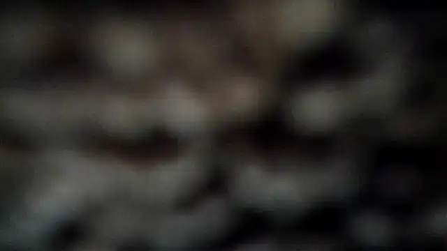 leatherz69 online show from March 2025 04:02:02 AM