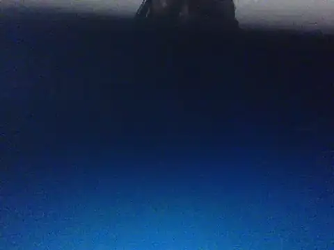 Cinderella Jewels  online show from January 2025 08:42:01 PM