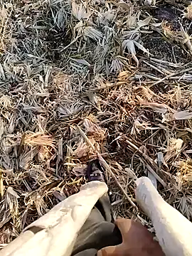 Snapshot of murokkk31 chatting on September 2025 04:03:02 AM murokkk31 online show from September 2025 04:03:02 AM