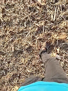 Snapshot of murokkk31 chatting on September 2025 01:49:01 PM murokkk31 online show from September 2025 01:49:01 PM