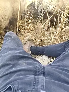 Snapshot of murokkk31 chatting on October 2025 09:33:01 AM murokkk31 online show from October 2025 09:33:01 AM