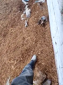 murokkk31 online show from November 2025 12:45:02 PM