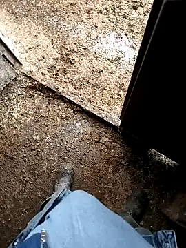 murokkk31 online show from January 2026 07:22:01 AM