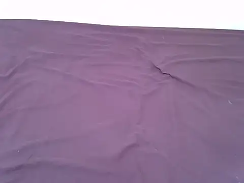 tasty piee online show from November 2025 03:17:01 AM