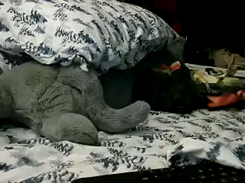 WHITEDAROSE online show from January 2025 02:13:01 PM