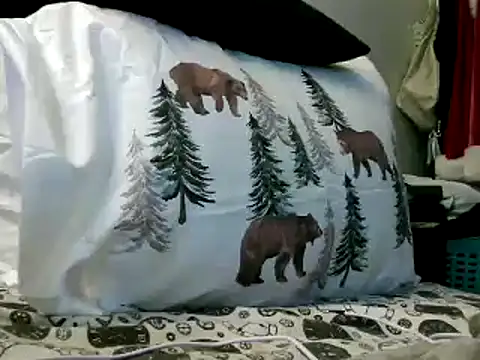 Snapshot of WHITEDAROSE chatting on February 2025 06:20:01 PM WHITEDAROSE online show from February 2025 06:20:01 PM