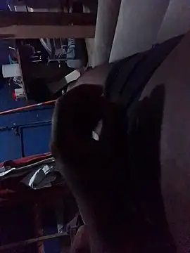 Snapshot of Algenis1232 chatting on October 2025 01:02:02 PM Algenis1232 online show from October 2025 01:02:02 PM