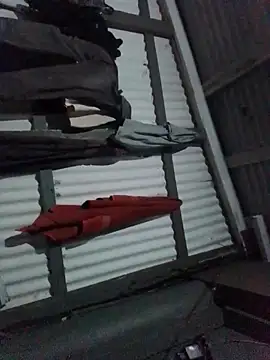 Snapshot of Algenis1232 chatting on November 2025 07:29:02 AM Algenis1232 online show from November 2025 07:29:02 AM