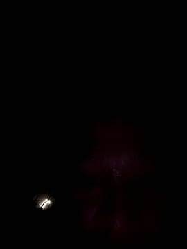 miicheele32 online show from October 2025 07:31:02 AM