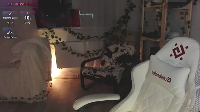 Snapshot of Brience chatting on February 2025 12:17:01 AM Brience online show from February 2025 12:17:01 AM