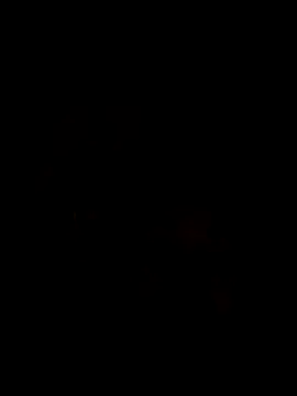 Snapshot of Ory22 chatting on November 2025 04:42:01 PM Ory22 online show from November 2025 04:42:01 PM