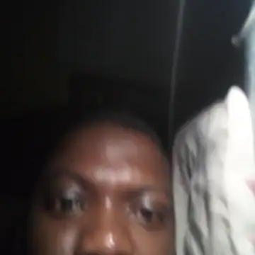 wlammi ptr online show from February 2026 11:53:02 PM