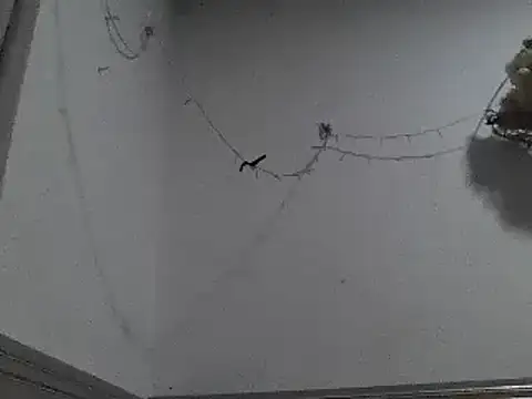 Snapshot of pedrodavid_ chatting on December 2024 12:18:01 AM pedrodavid  online show from December 2024 12:18:01 AM