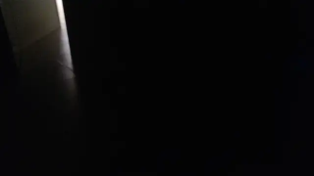 Snapshot of joeydee1 chatting on March 2025 11:50:02 PM joeydee1 online show from March 2025 11:50:02 PM